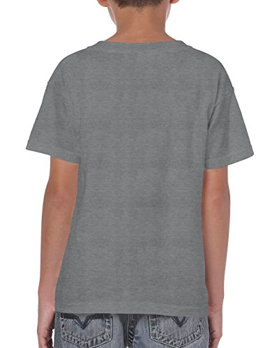 Image of Gildan Big Boys' Heavyweight Taped Neck Comfort T-Shirt, XL, Graphite Heather
