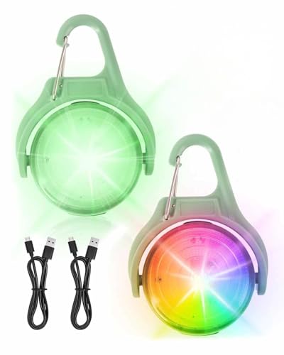 Rumicet Lot de 2 pendentifs lumineux LED pour chien, charge USB, étanchéité IPX8, clip de sécurité avec 4 modes d'éclairage, clignotant à 270° pour cartable, enfants, chiens et chats, joggeurs et