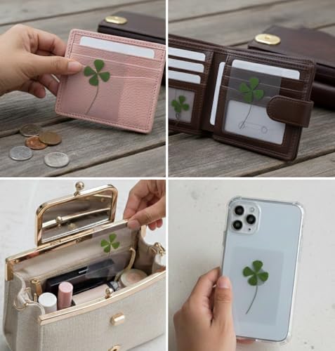Image of Real Four-Leaf Clover Card (pack of 1) - Laminated Pressed Leaves, Waterproof Preservation, Good Luck charm, perfect gift, Lucky key chain, bag charm, | Free 'clover necklace' gift inside ! |