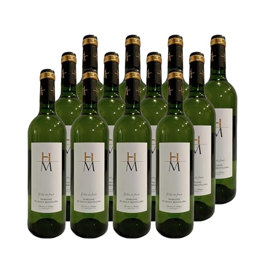 Bergerac Éclat de Fruit Blanco 2023 – Sauvignon Blanc DOP del Sudoeste de Francia Bergerac Éclat de Fruit Blanco 2023 – Sauvignon Blanc DOP del Sudoeste de Francia