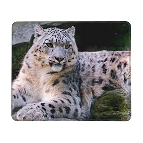 Snow Leopard �}���`�T�C�Y���o�[���b�N�G�b�W�}�E�X�p�b�h(����)�I�t�B�X�}�E�p�b�h�A�z�[���}�E�X�p�b�h