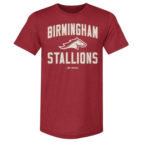 500 LEVEL Birmingham Stallions Team Home Men's Premium T-Shirt (Heather Cardinal, Large)