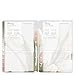 FranklinCovey - Blooms One Page Per Day Ring-Bound Planner (Classic, Jan 2025 - Dec 2025)