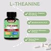L-Theanine 200mg, Amino Acid Supplement to Support Relaxation, Stress, L Theanine Capsules - Non-GMO, Gluten Free, 120 Veg Capsules