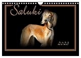 Saluki 2023 (Wandkalender 2023 DIN A4 quer), Calvendo Monatskalender