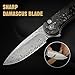 CIVIVI Elementum II Pocket Folding Knife, 2.96" Damascus Blade Knife with Deep Carry Pocket Clip for EDC Camping Hiking Hunting C18062P-10