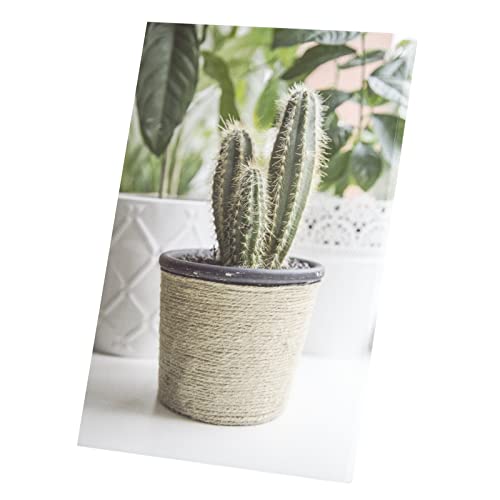 Tableau cactus en pot 30x45cm toile imprimée décorative pour salon