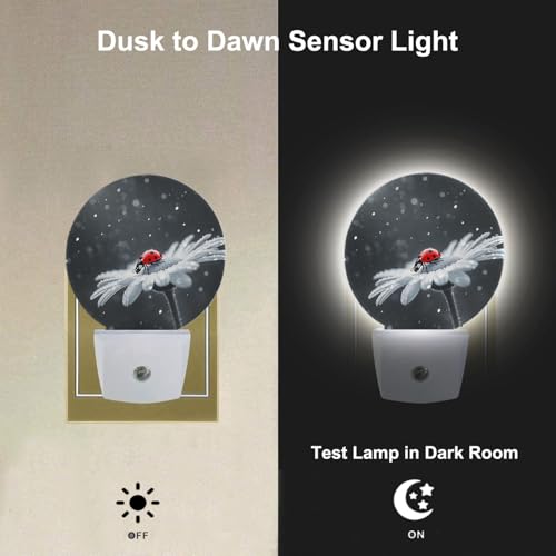 Image of Night Light Ladybug on White Daisy Flowers Dusk to Dawn Plug-in Nightlight Auto Sensor for Bedroom Bathroom Hallway Living Room