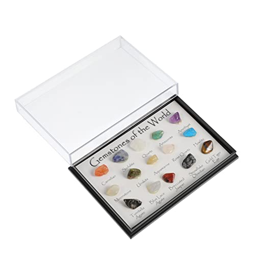 NAMOARLY Rich Variety of Natural Crystal Minerals Educational Teaching Specimens Decorative Crystals for Meditation Home Office Display