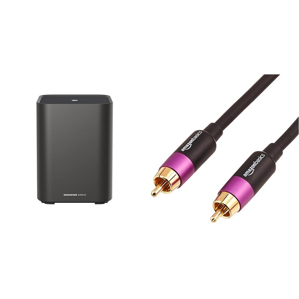 Sennheiser AMBEO Sub für TV und Musik - EU-Stecker & Amazon Basics RCA PBH-19088 Subwoofer-Kabel, 2.4 m, Schwarz