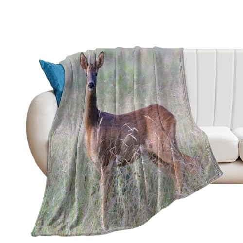Elegante design europeo capriolo Wildlife design e stampa Il motivo classico ed elegante aggiunge un look elegante ed eccezionale a questa coperta, portando un tocco di stile ai tuoi mobili e stanze di lusso. Questa coperta morbida e soffice porta comfort e calore, perfetta per coccolarsi a letto, in un cinema freddo, al parco o in qualsiasi occasione. Può essere utilizzata anche come coperta decorativa nella tua casa, o utilizzare questa coperta come accessorio fotografico sui social media per scattare belle foto, ed è