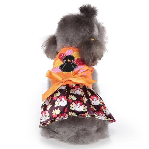 Robe d'Halloween pour chien et chat : déguisement confortable pour les soirées terrifiantes