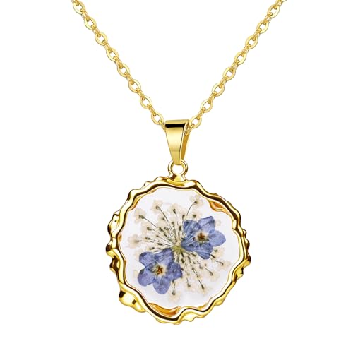 [Flongo] y_g lbNX lC  fB[X: Yȑ ܖY }`bN t@Vb  v[g Mtg LO a - X^CC