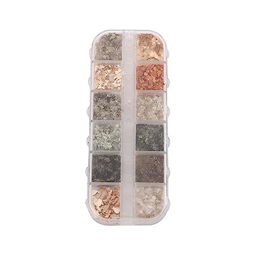 Vctitil 12 Grids Seashell Nail Art Glitter Slices Abalone Shell Slice Nail stickers Nail Sequins Ultra Thin Irregular 3D Nail Art Decorations