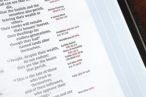 Niv, Thompson Chain-Reference Bible, Premium Goatskin Leather, Black, Premier Collection, Black Lett