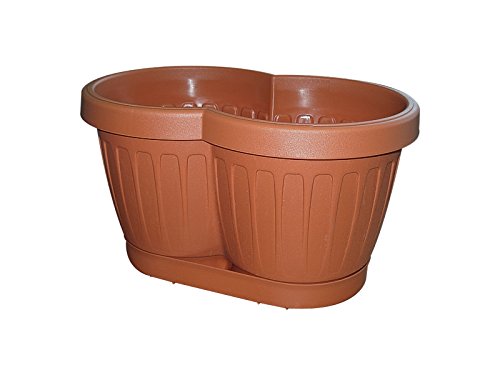 GAP-Aktuell Balkonkasten Begonia 30 cm 2er mit Untersatz - Qualität...