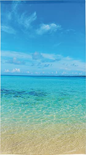 のれん工房 のれん 風景 景色 空 青空 タペストリー ポスター 背景幕 青空と海 幅85×丈150cm 99875