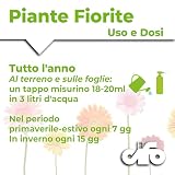 CIFO B00TLPO2S6 lato 4