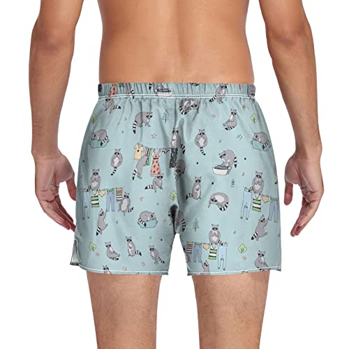 Ropa interior informal de mapache azul y calzoncillos L 2