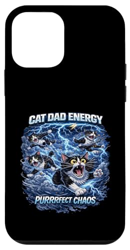 Cat Dad Energy Quote, Cat Dads Cat Humor Fathers Felines �X�}�z�P�[�X iPhone 12 mini �p