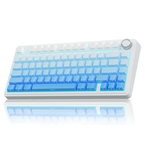 Image of Aula F75 Mechanical Keyboard Gaming, 2.4 GHz /Type-C /BT5.0 Wireless Gaming Keyboard 75 Percent, Side Engraved, Structure of Seal, Hot Swappable Wireless Keyboard RGB (Blue with Colour Gradient)