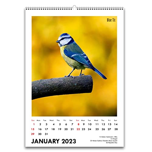 Image of Tallenge - Winged Beauties - 2026 Desk Calendar - 6 x 9 Inches for Home & Office (Paper, Desk Calendar)