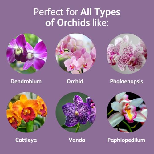 Chrysal Orchid Food Drops 2 Pack para Orquideas miniatura 4