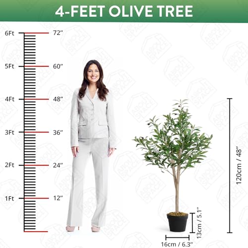 Image of ABOUT SPACE 4ft Olive Tree with 580 Leaves & 20 Olives - Artificial Plant for Home Decor - Natural Looking Plant Decor Big Fake Ornamental Plants with Pot - Indoor Artificial Plants for Living Room