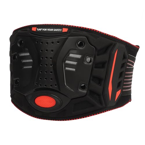 RiToEasysports Motorcycle Kidney Belt, Professional Breathable Anti Fall Motocross Waist Belt Protector Brace Support Belt for Cycling (Large for <50KG Dog 200x130x65mm)
