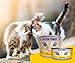 JOSERA Nassfutter Kitten Turkey (12 x 85 g) | Kitten | Premium Katzenfutter nass für wachsende Katzen | Pute & leckere Geflügelbrühe | getreidefrei | Anti-Haarballen | Alleinfutter | 12er Pack