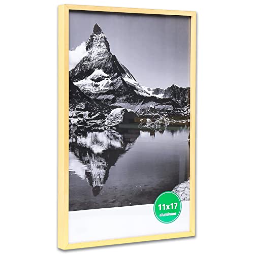 Thedisplayguys - Contemporary Aluminum Picture Frame - Tempered Glass - 11X17 Tall Poster - Gold - Wall Hanging #TOP1