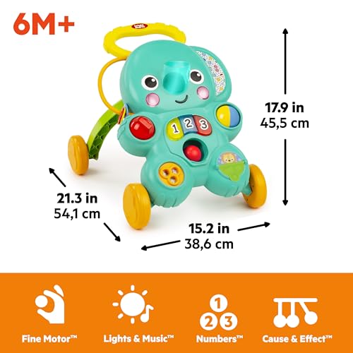 Bright Starts Stroll 'N Roll 2 In 1 Ball Play Walker - Elefante Con Luci E Musica, Unisex, 6 Mesi + - 6