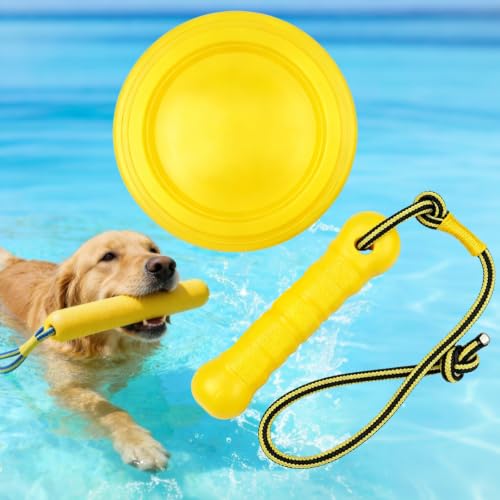 Wasserspielzeug Hund,Hundespielzeug Wasser,Wurfspielzeug Wasser Outdoor
