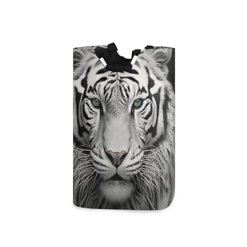 Jihqo Laundry Hamper Basket White Tiger Collapsible Nursery Storage Bin Waterproof Clothing Baskets for Home Bedroom Bathroom Washing Room