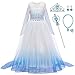 O.AMBW Vestito da Principessa Elsa Costume Regina del Ghiaccio delle Nevi Abito Accessori per Compleanno Natale Carnevale Cosplay Halloween Festa Abiti