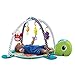 Infantino 3-in-1 Grow with me Activity Gym and Ball Pit