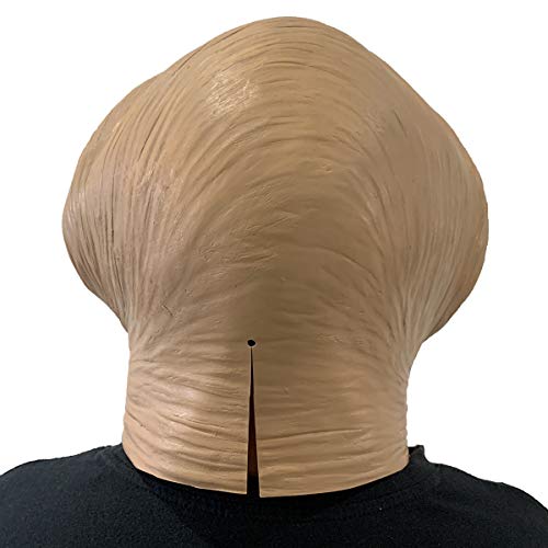 Photo complémentaire