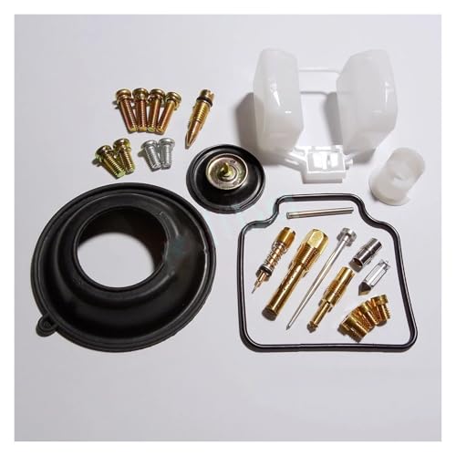 Carburateur SL230 kit réparation contre les fuites FTR223