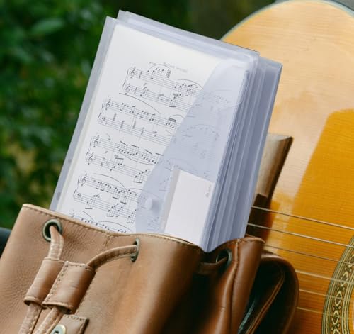 Dokumententasche A4 10 pack- Transparent Druckknopf A4 Dokumentenmappe Sammelmappen für Dokumente Organisieren mit Binderlöcher und Etikettentasche wasserdicht