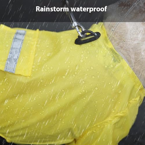 Manteau de pluie pour chien teckel imperméable avec capuche