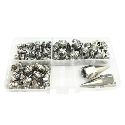 FELTECHELECTR Kit de Engrasado 62 Piezas Boquillas de Grasa M6 M8 M10 Surtidas Accesorio de Engrase Angular y Punta para Pistola Estuche Plástico para Taller y Uso Automotor