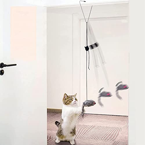 ZJYY 2 Pezzi Giocattolo Gatti Appendere, Gioco