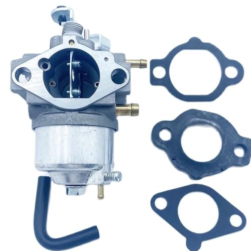 Carburateur adaptable BS 492256 pour entretenir le jardin