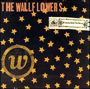 Bringing Down The Horse [Audio CD]