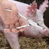 Annadue Alicates para Etiquetas de Oreja de Cerdo, Alicates para Orejas de Acero Inoxidable para Animales de Granja, para Muescas de Oreja de Cerdo en Forma de V, Herramienta de para Orejas de