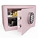 Goldenkey Luxury Digital Jewelry Safe with Keypad for Home, Small Safe box for Document, Money, Soft Velvet Lining&Removable Shelf, 9.84