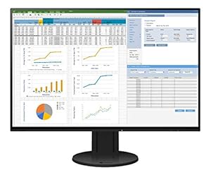Eizo EV2457 Écran Ultra Fin 61,2 cm (24,1 Pouces) Weiß