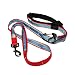 Kurgo 6-in-1 Quantum(TM) Dog Leash, Red & Blue