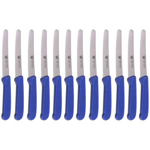 GRÄWE Juego de 12 cuchillos de mesa para cortar, 12 unidades, cuchillos para panecillos, cuchillos de desayuno con filo ondulado unilateral, cuchillo de pan, cuchillo afilado para el almuerzo, 21 cm