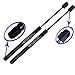 Two Rear Trunk Lid Gas Charged Lift Supports for 1998-2013 Corvette Convertible, 1999-2000 Corvette Base Coupe, 2001-2004 Corvette Z06 Coupe. WGS-175-2
